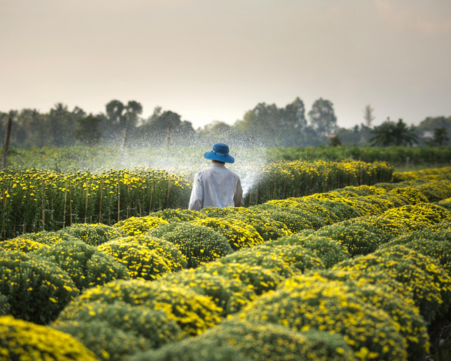 Financial Planning for Seasonal Businesses