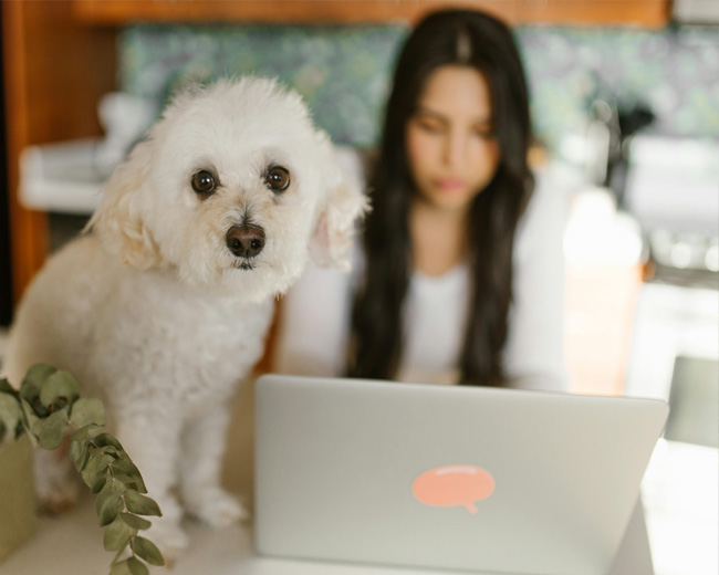 The Rise of Hybrid Work Models for Small Businesses